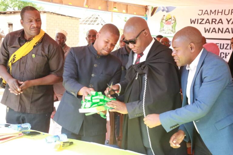 TUWEKE MIKAKATI MADHUBUTI KUPAMBANA NA MILA NA DESTURI ZENYE MADHARA: WAKILI MPANJU