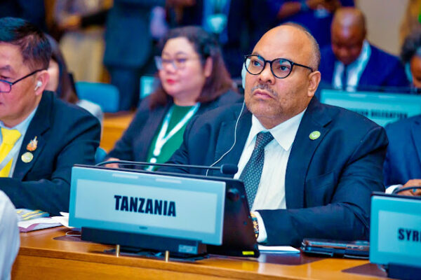 TANZANIA YAUNGA MKONO UHURU WA CHAKULA KATIKA MKUTANO WA UNFSS+4 JIJINI ADDIS ABABA