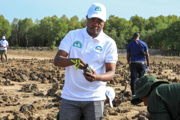 Tanzania yaadhimisha Siku ya Mikoko Duniani kwa kupanda miti 5,000 Kinondoni