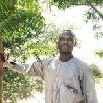 Je! COP30 itaonekana tena kwa mradi mkubwa wa ukuta wa kijani wa Nigeria? – Maswala ya ulimwengu