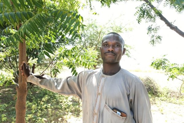 Je! COP30 itaonekana tena kwa mradi mkubwa wa ukuta wa kijani wa Nigeria? – Maswala ya ulimwengu